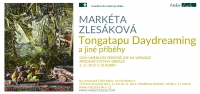 The exhibition Markéta Zlesáková, 5.11. - 30.11.2015